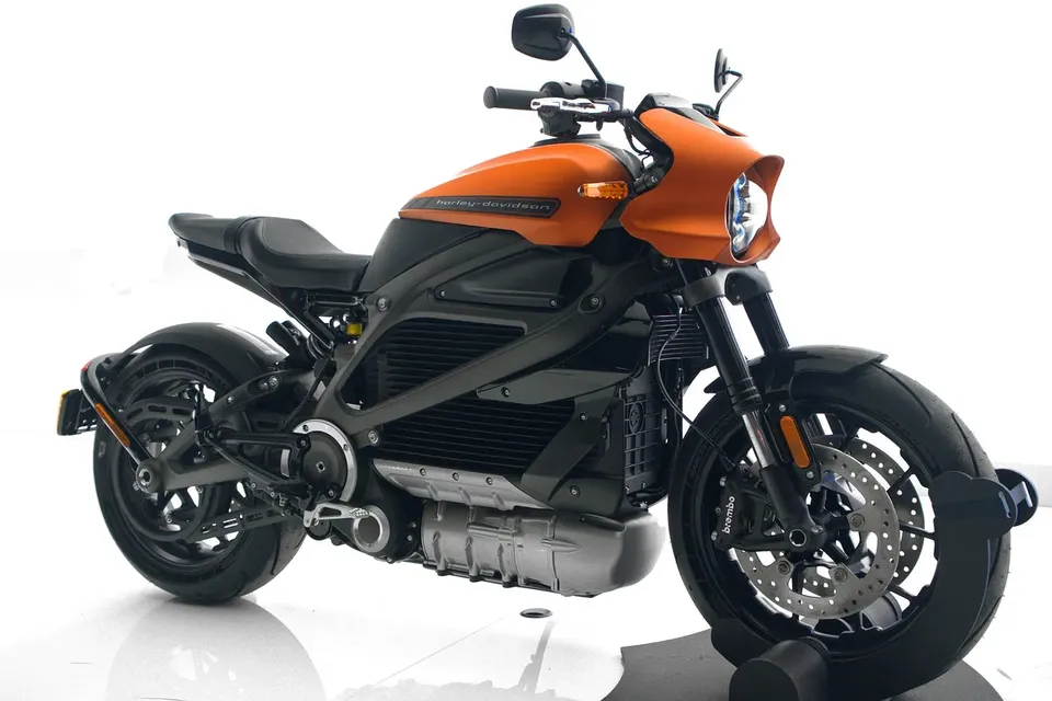 The manufacturer promises that the 3,000 W motor must deliver a maximum speed of up to 100 km/h.