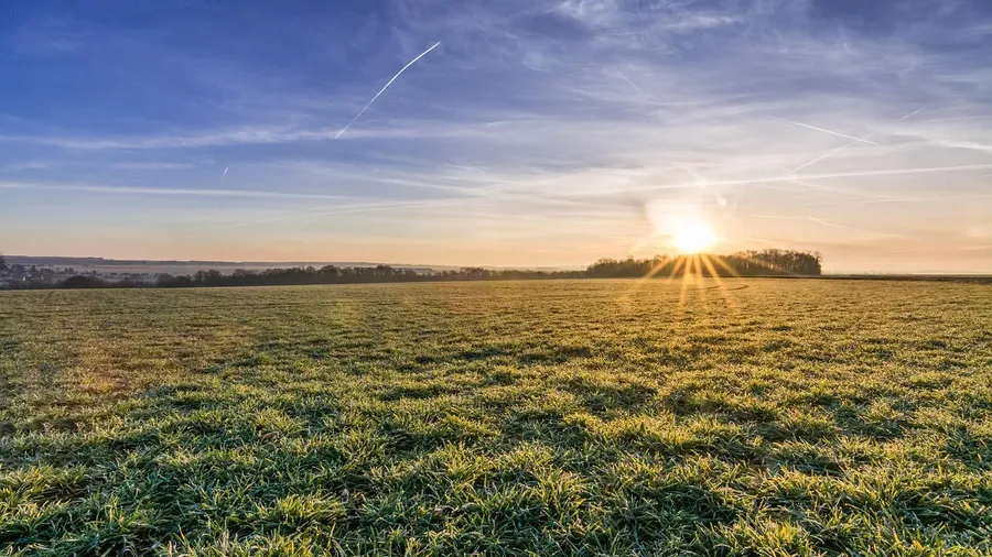 Guest Comment: Compulsive organic farming is irresponsible